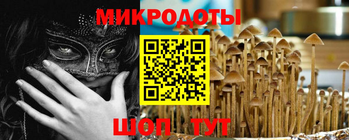 Феодосия  Псилоцибиновые грибы Psilocybe  Вход с VPN  наркотики  Псилоцибиновые грибы Psilocybe 