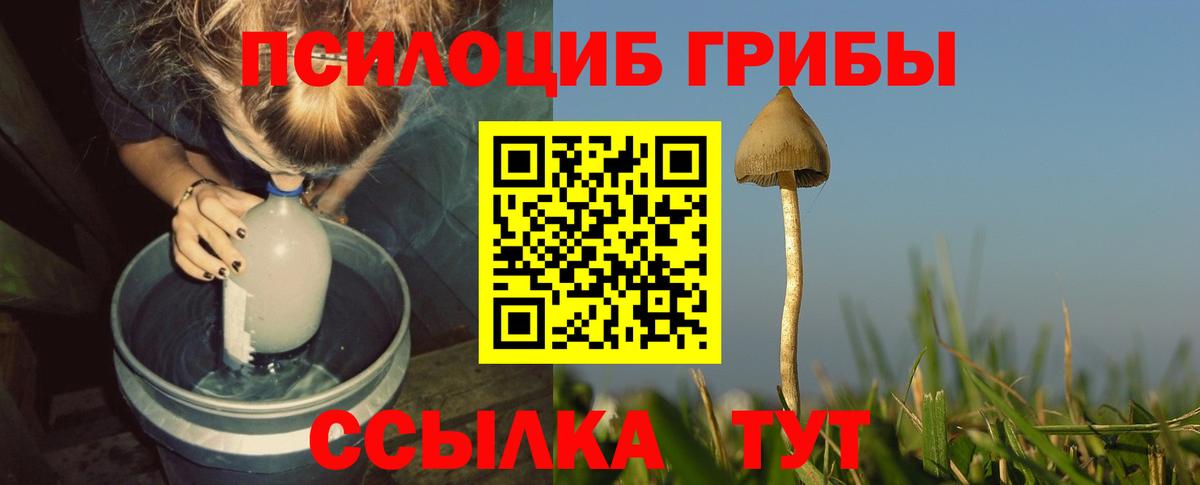 Галлюциногенные грибы Psilocybe Феодосия